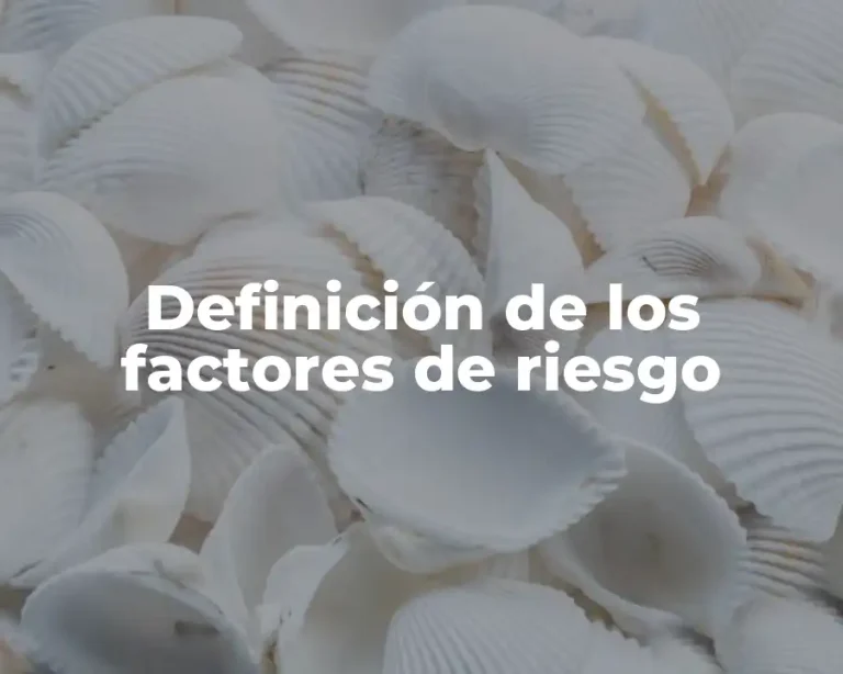 Definición de los factores de riesgo
