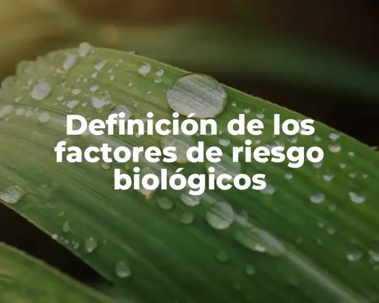 Definición de los factores de riesgo biológicos