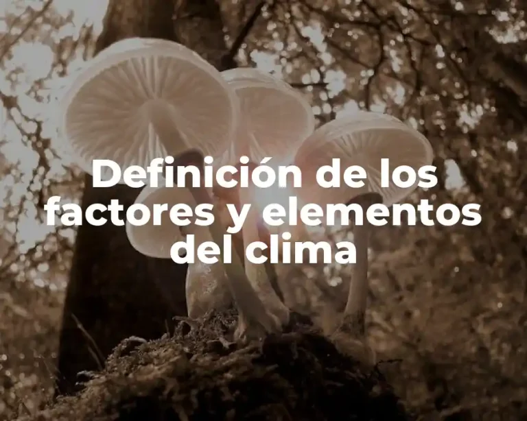 Definición de los factores y elementos del clima