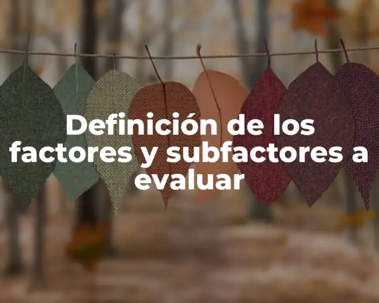 Definición de los factores y subfactores a evaluar