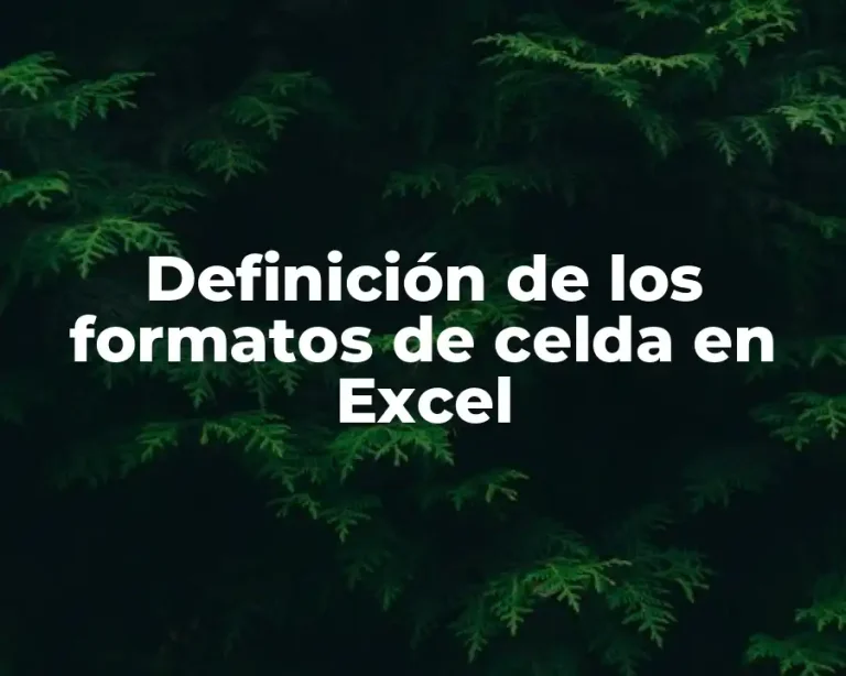 Definición de los formatos de celda en Excel