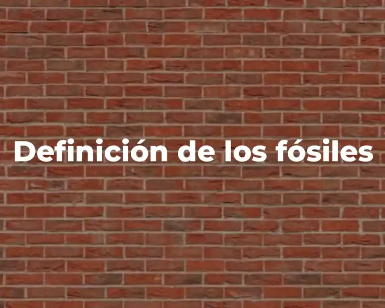 Definición de los fósiles