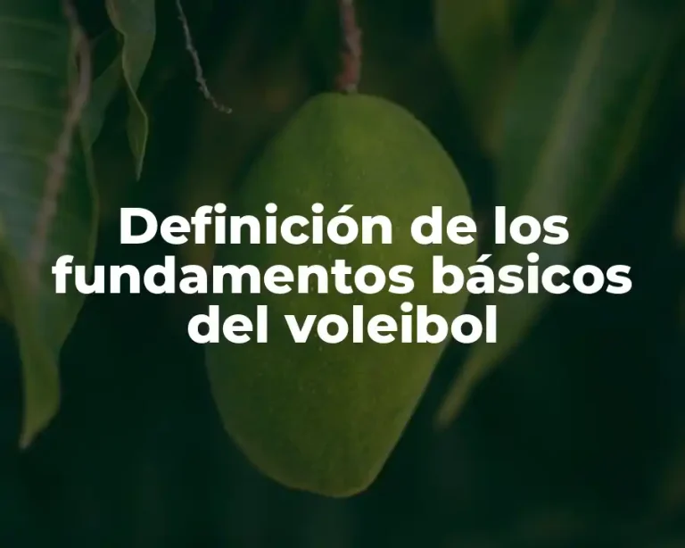 Definición de los fundamentos básicos del voleibol