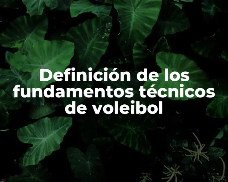Definición de los fundamentos técnicos de voleibol