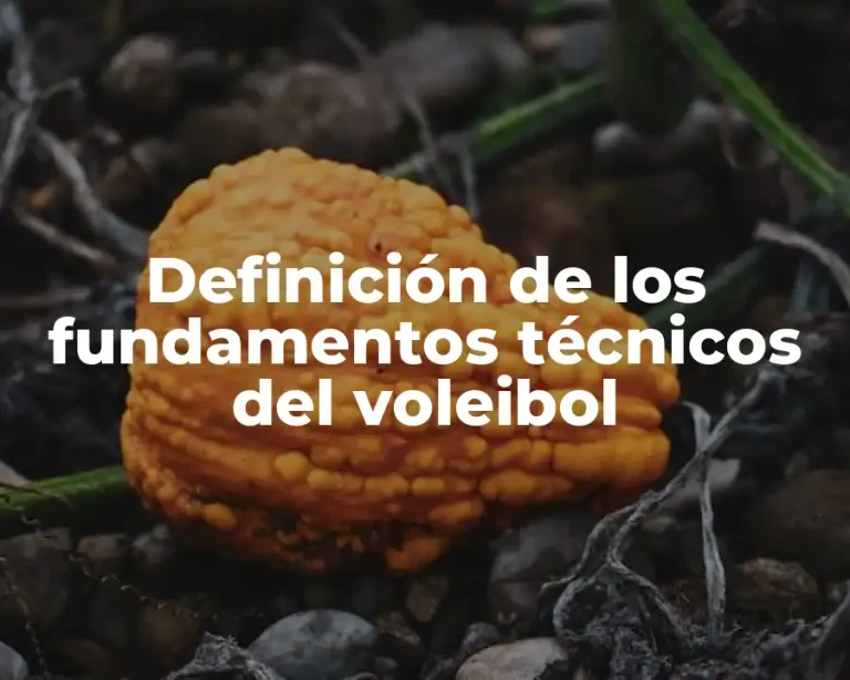 Definición de los fundamentos técnicos del voleibol