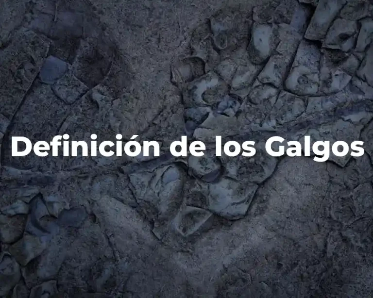 Definición de los Galgos