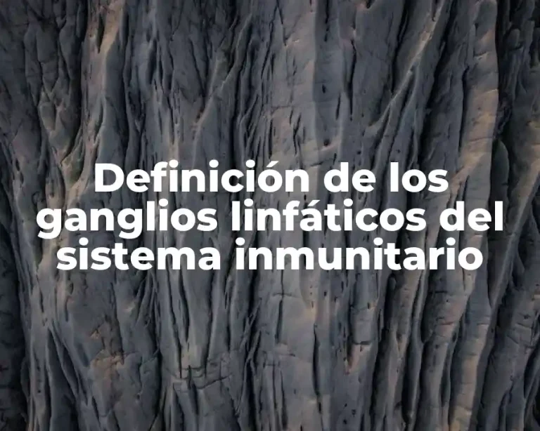 Definición de los ganglios linfáticos del sistema inmunitario