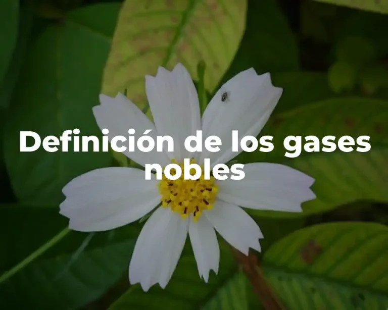 Definición de los gases nobles