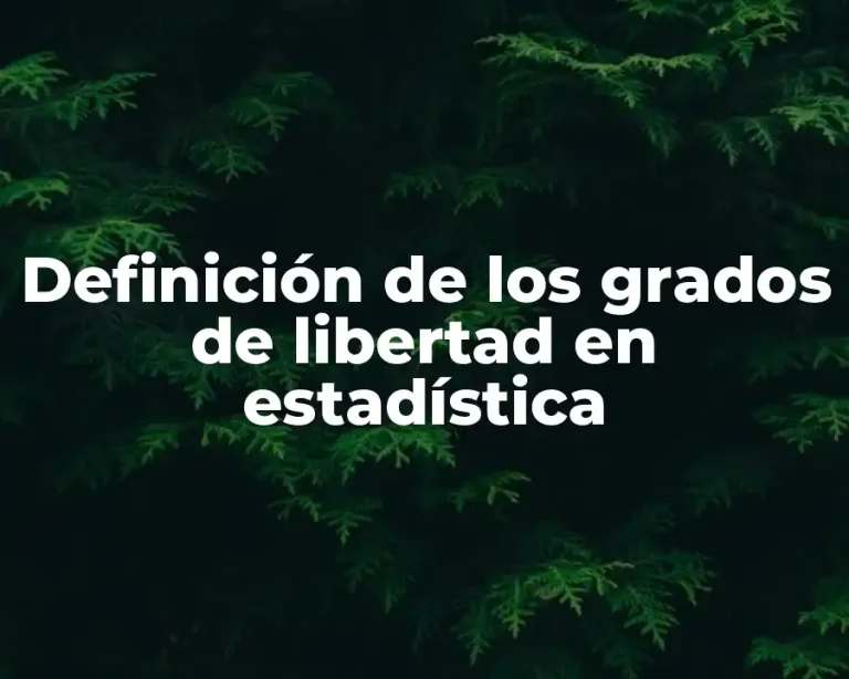 Definición de los grados de libertad en estadística