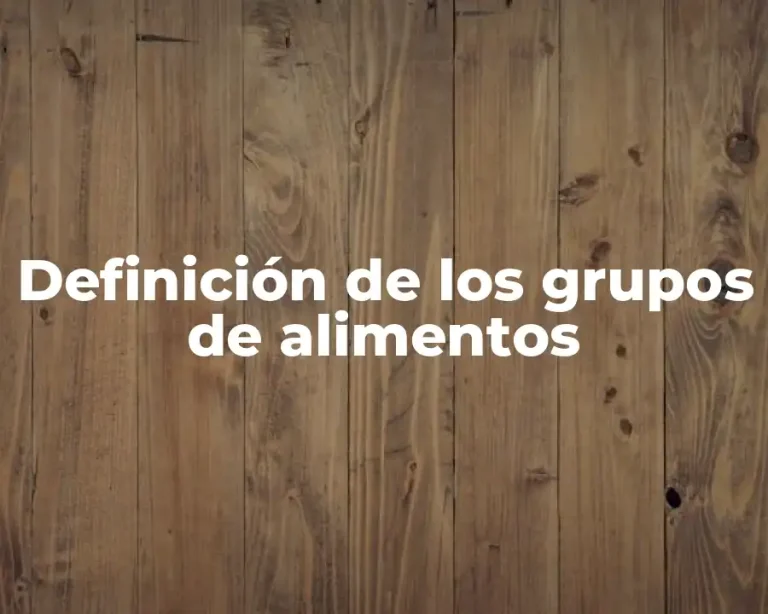 Definición de los grupos de alimentos