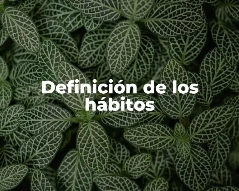 Definición de los hábitos