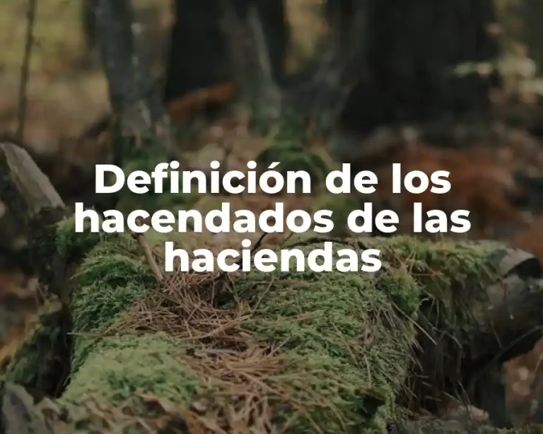 Definición de los hacendados de las haciendas