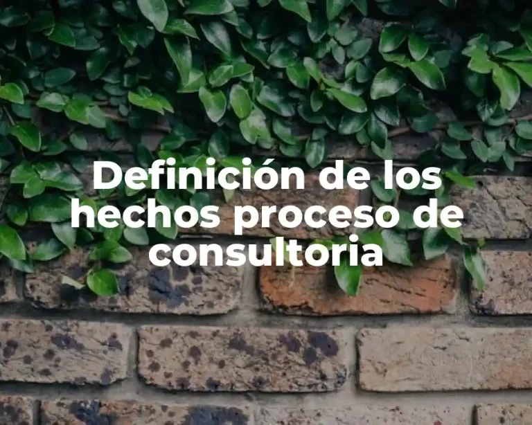 Definición de los hechos proceso de consultoria