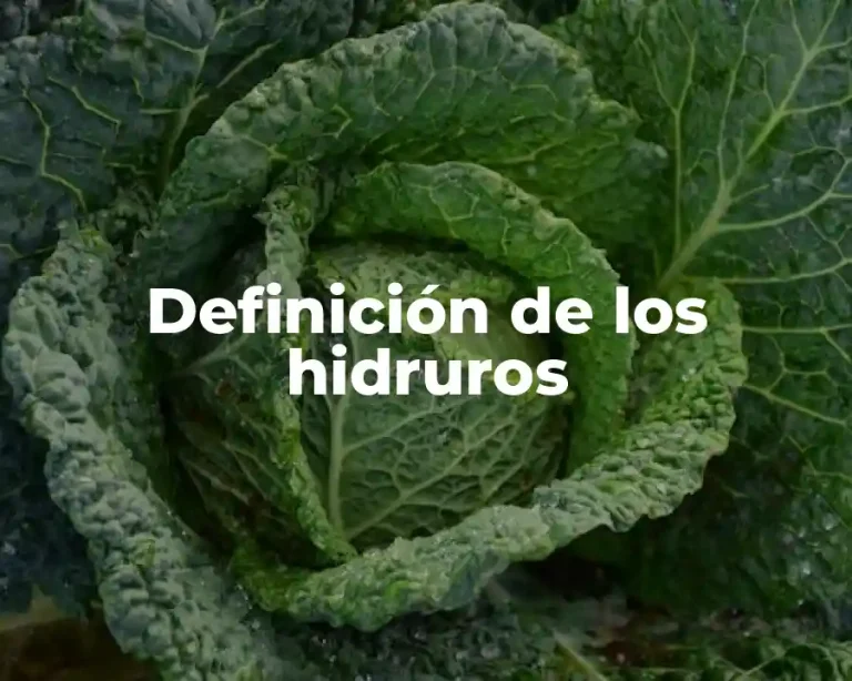 Definición de los hidruros