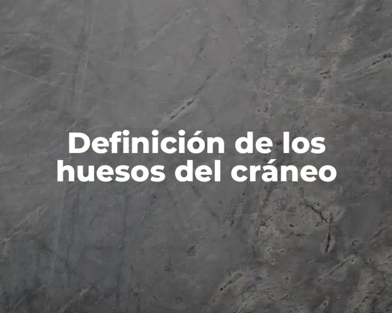 Definición de los huesos del cráneo