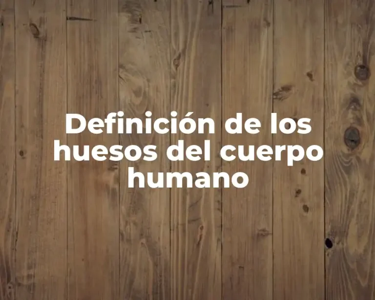 Definición de los huesos del cuerpo humano