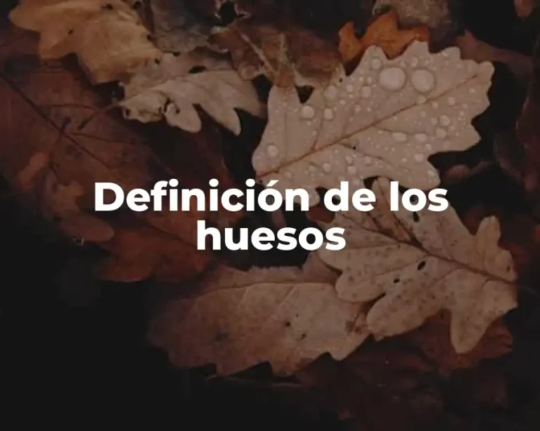 Definición de los huesos