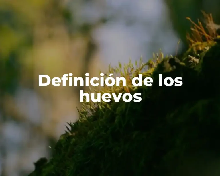 Definición de los huevos