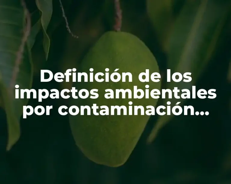 Definición de los impactos ambientales por contaminación ondas acústicas