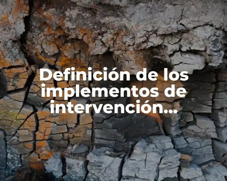 Definición de los implementos de intervención psicopedagógica