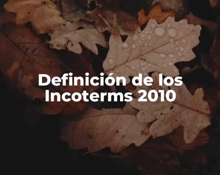 Definición de los Incoterms 2010