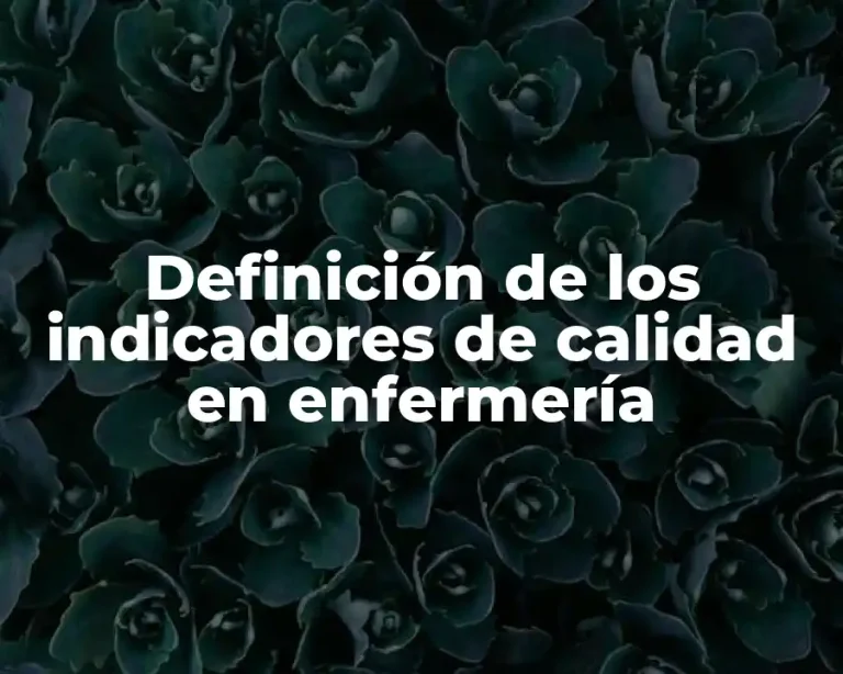 Definición de los indicadores de calidad en enfermería