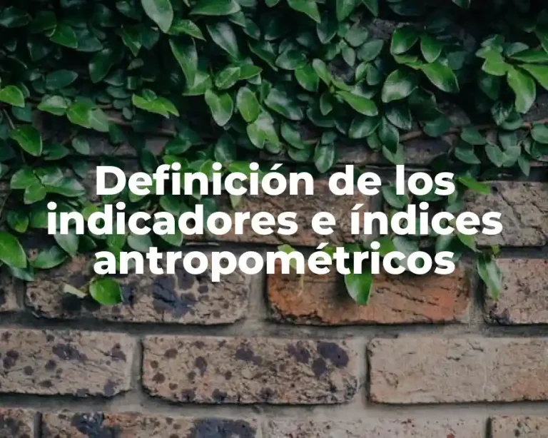 Definición de los indicadores e índices antropométricos