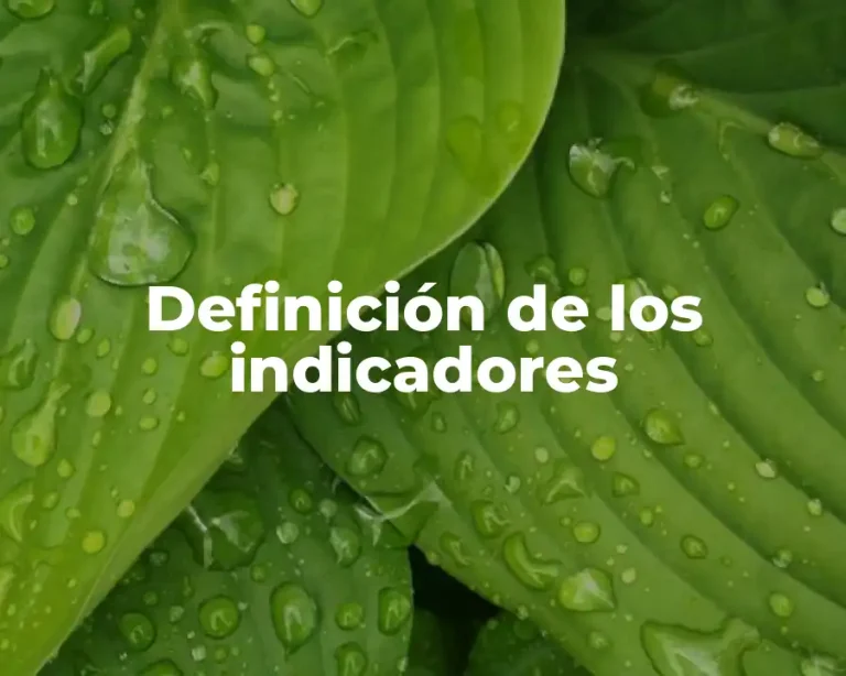 Definición de los indicadores