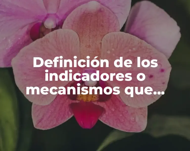 Definición de los indicadores o mecanismos que corresponda