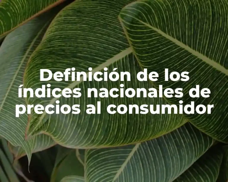 Definición de los índices nacionales de precios al consumidor