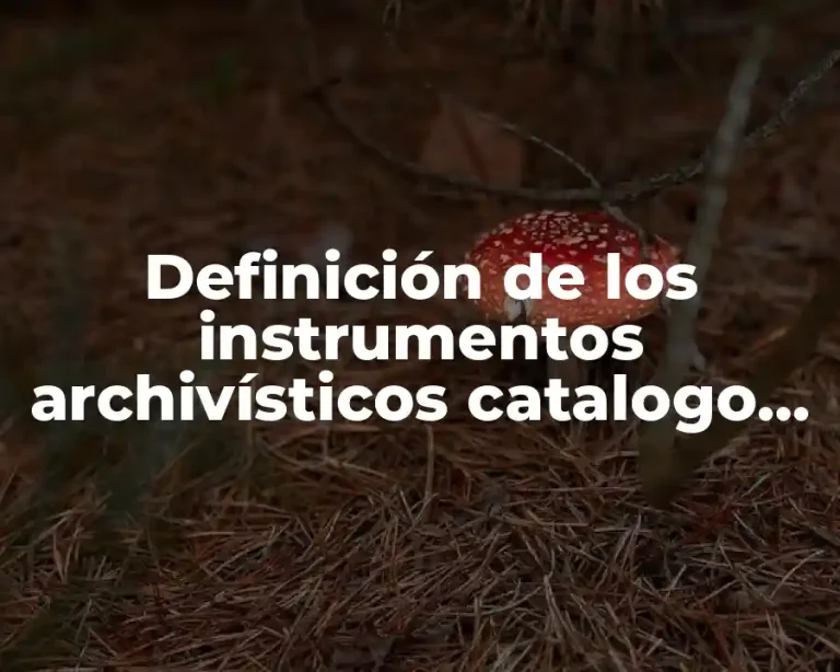 Definición de los instrumentos archivísticos catalogo de disposición documental