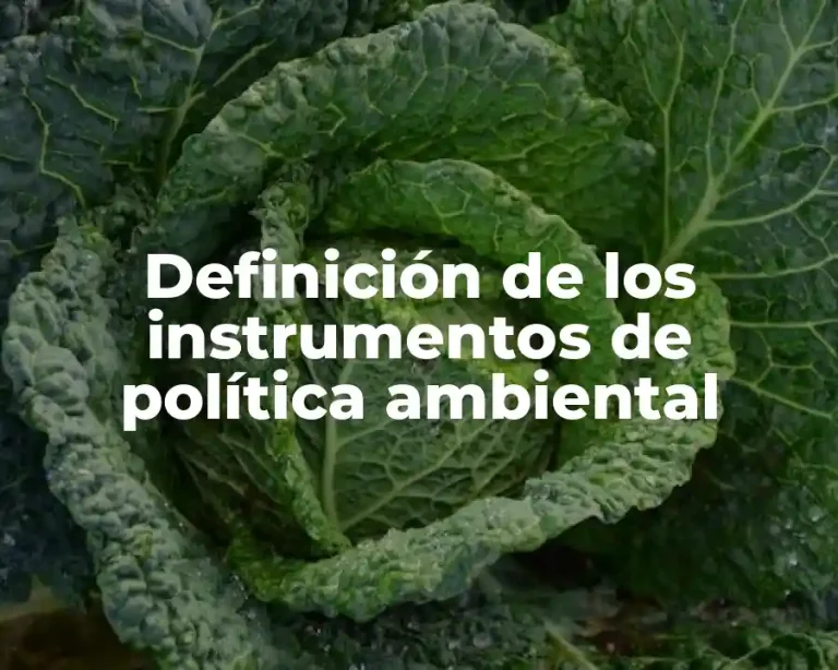 Definición de los instrumentos de política ambiental