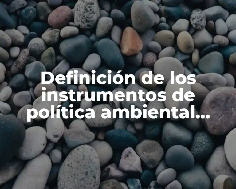 Definición de los instrumentos de política ambiental UNAM