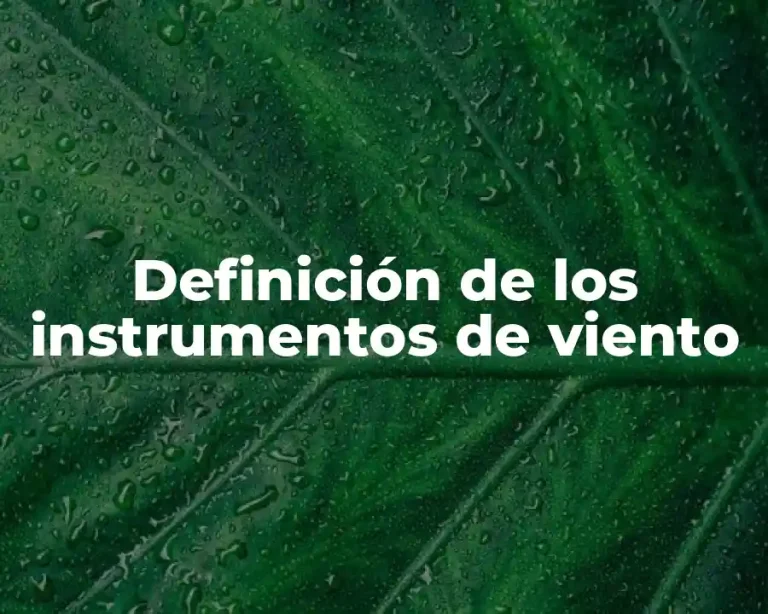 Definición de los instrumentos de viento