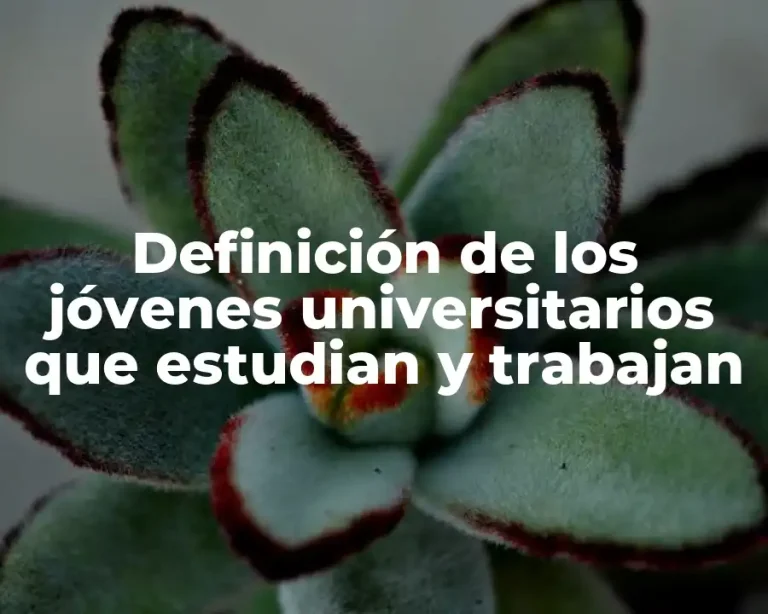 Definición de los jóvenes universitarios que estudian y trabajan