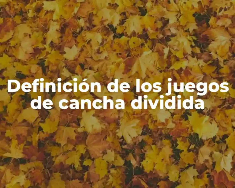 Definición de los juegos de cancha dividida