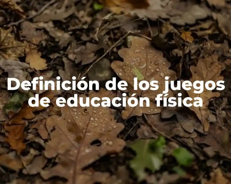 Definición de los juegos de educación física