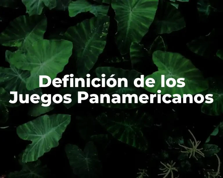 Definición de los Juegos Panamericanos