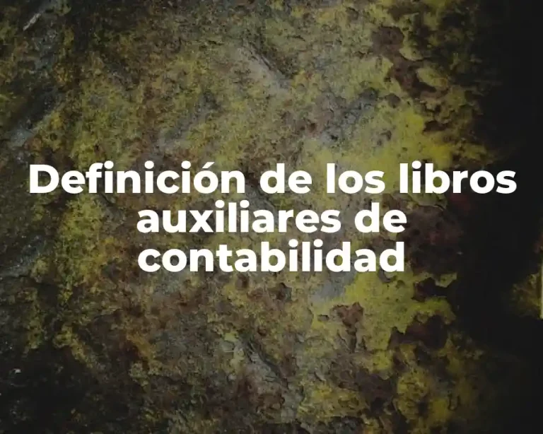 Definición de los libros auxiliares de contabilidad