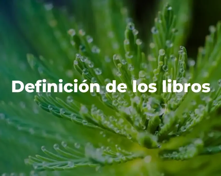 Definición de los libros