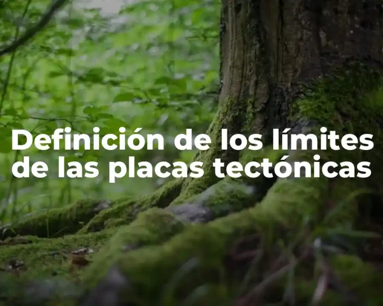 Definición de los límites de las placas tectónicas