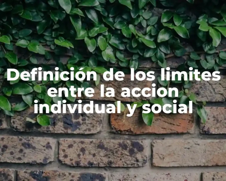 Definición de los limites entre la accion individual y social