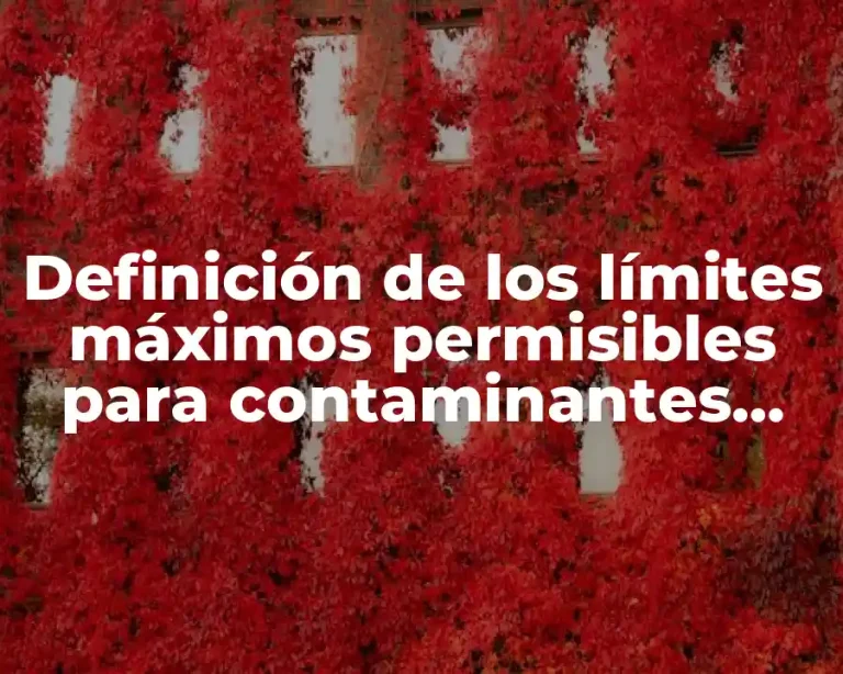 Definición de los límites máximos permisibles para contaminantes básicos