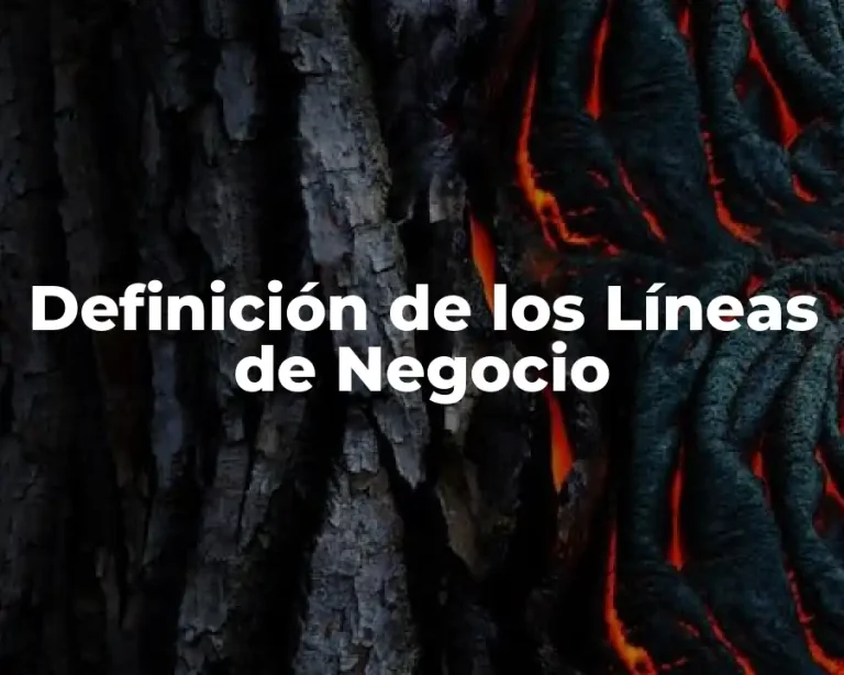 Definición de los Líneas de Negocio