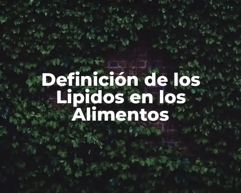 Definición de los Lipidos en los Alimentos