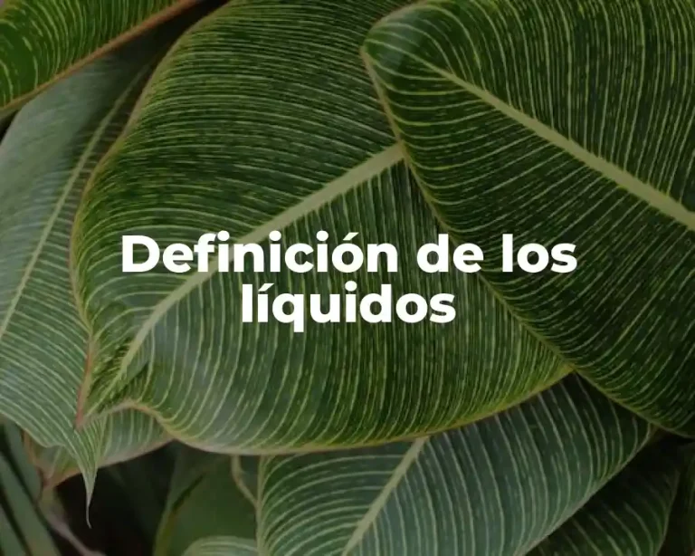 Definición de los líquidos