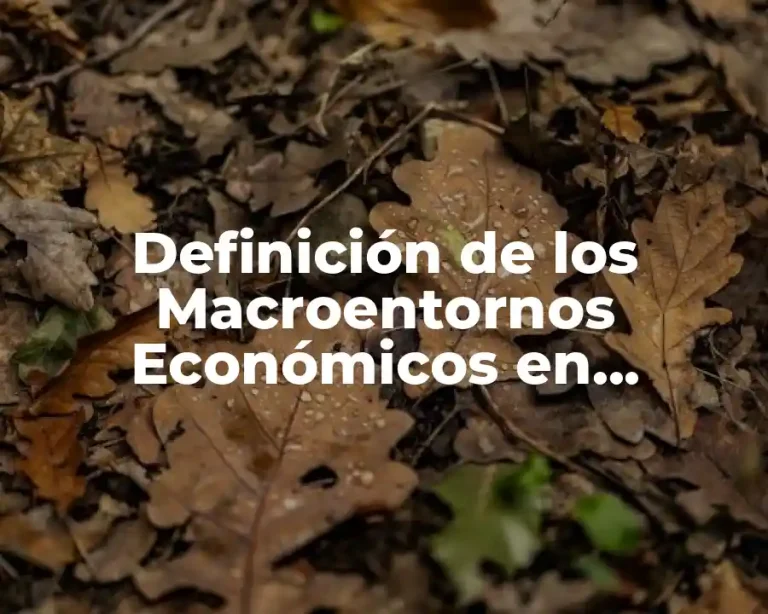 Definición de los Macroentornos Económicos en Métodos de Investigación