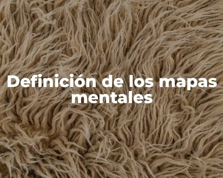 Definición de los mapas mentales