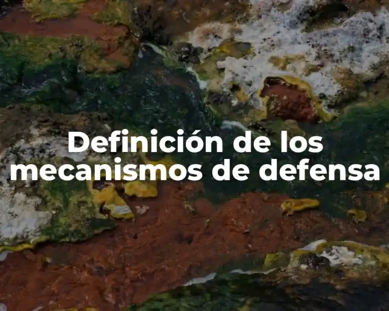 Definición de los mecanismos de defensa