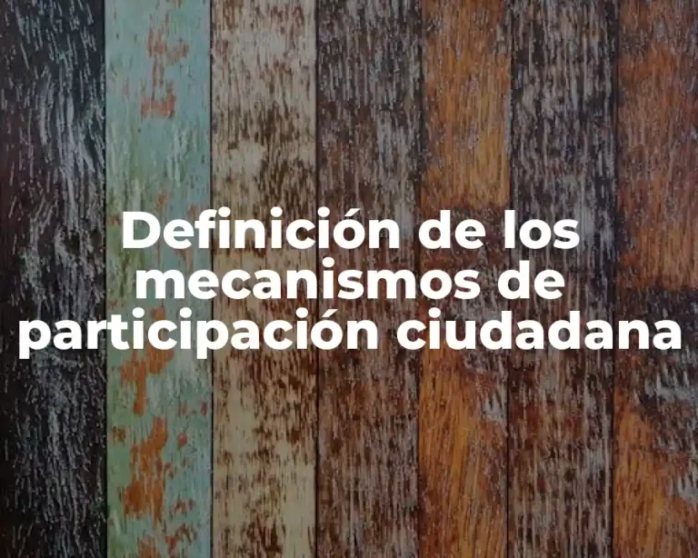 Definición de los mecanismos de participación ciudadana